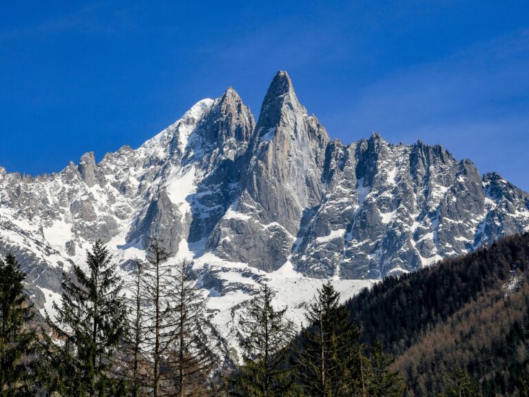 Les aiguilles du massif du Mont-Blanc à Chamonix